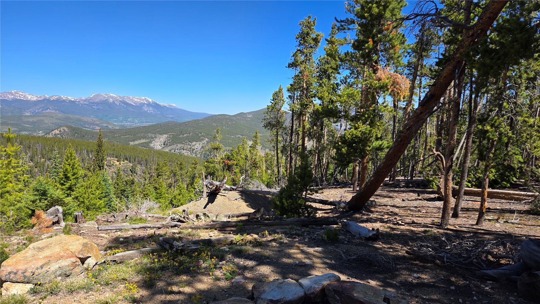 Tbd Summit Gulch Road Breckenridge, CO 80424 - Photo 3 of 30 a view of a forest with a mountain