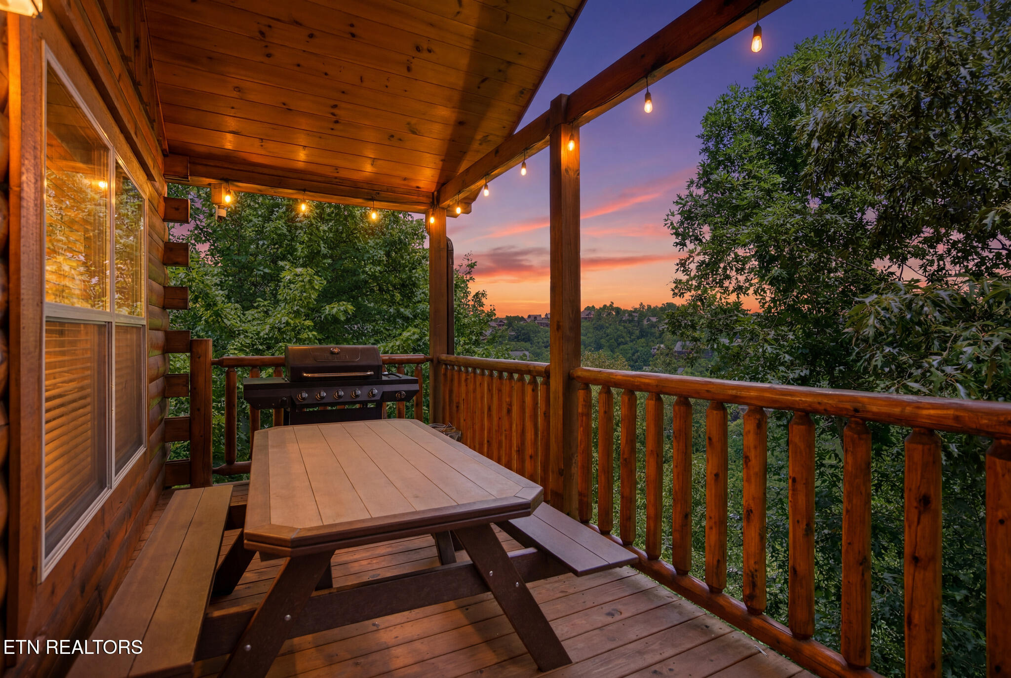 1012 Owls Nest Way Sevierville, TN 37876 - Photo 15 of 35 1012 Owls Nest Way Twilight - 3