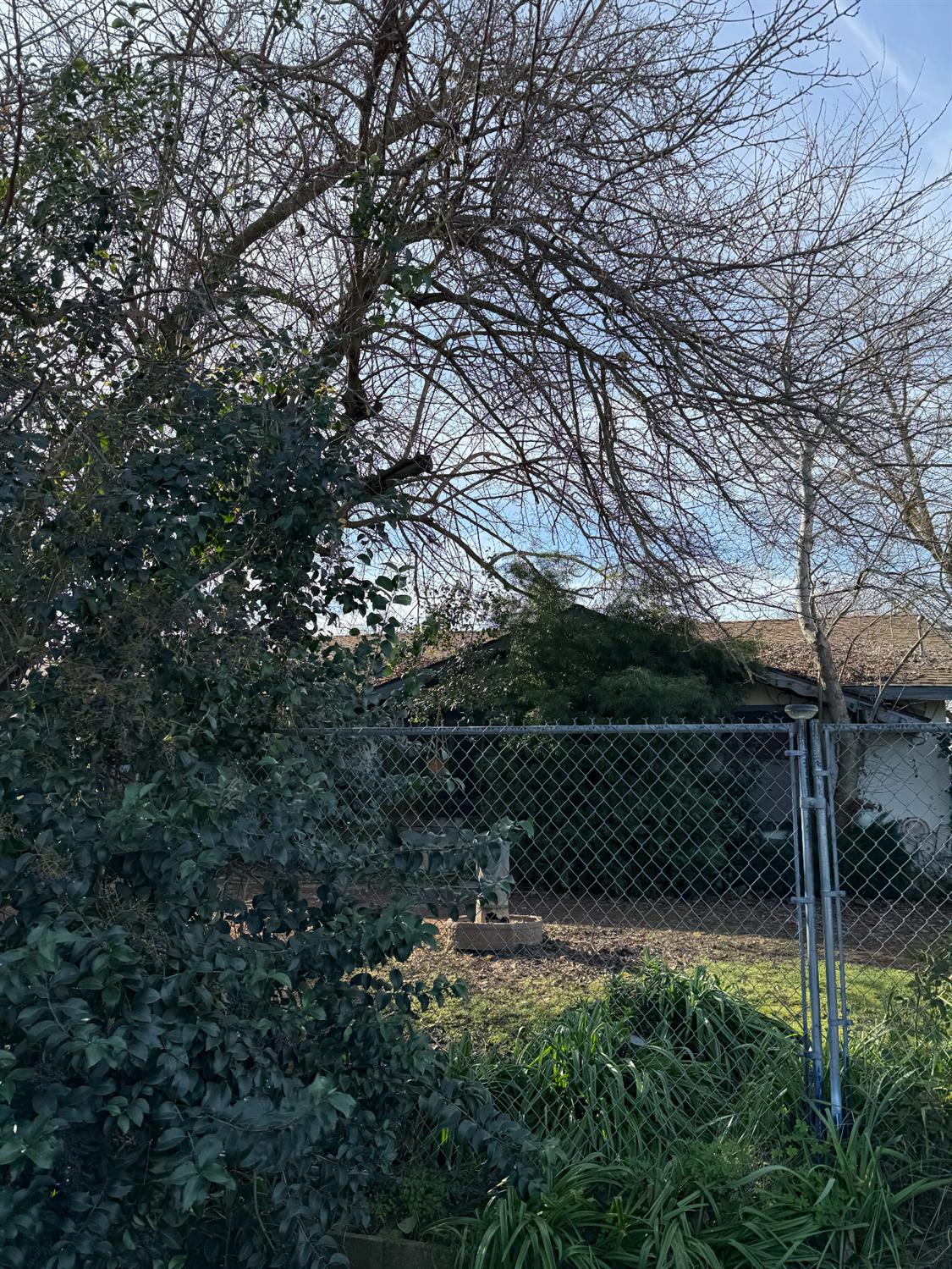 a view of a backyard