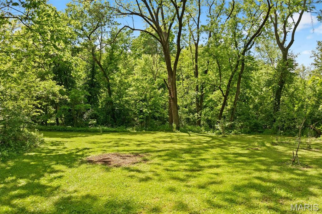 103 Alpine Lane Caseyville, IL 62232 - Photo 46 of 57