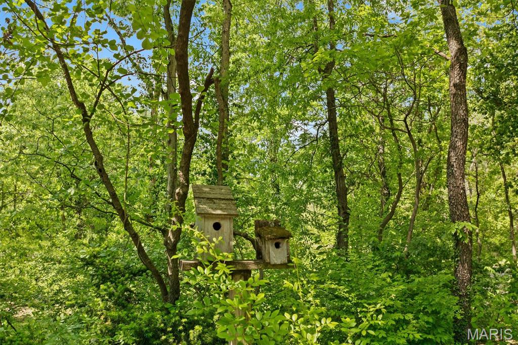 103 Alpine Lane Caseyville, IL 62232 - Photo 47 of 57