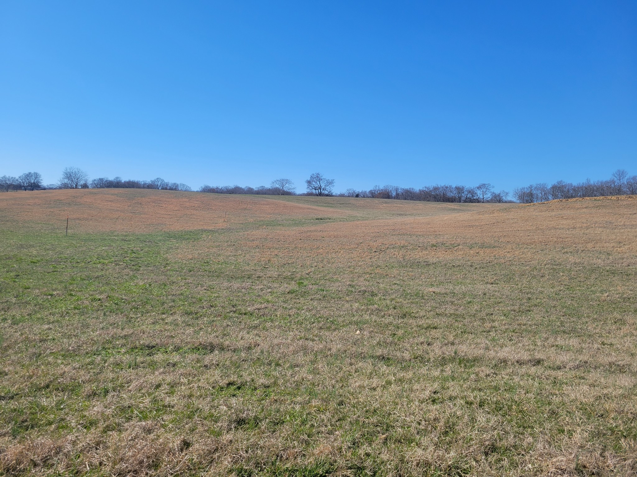 9 Horn Springs Road Lebanon, TN 37087 - Photo 1 of 4 Gallery Image 1