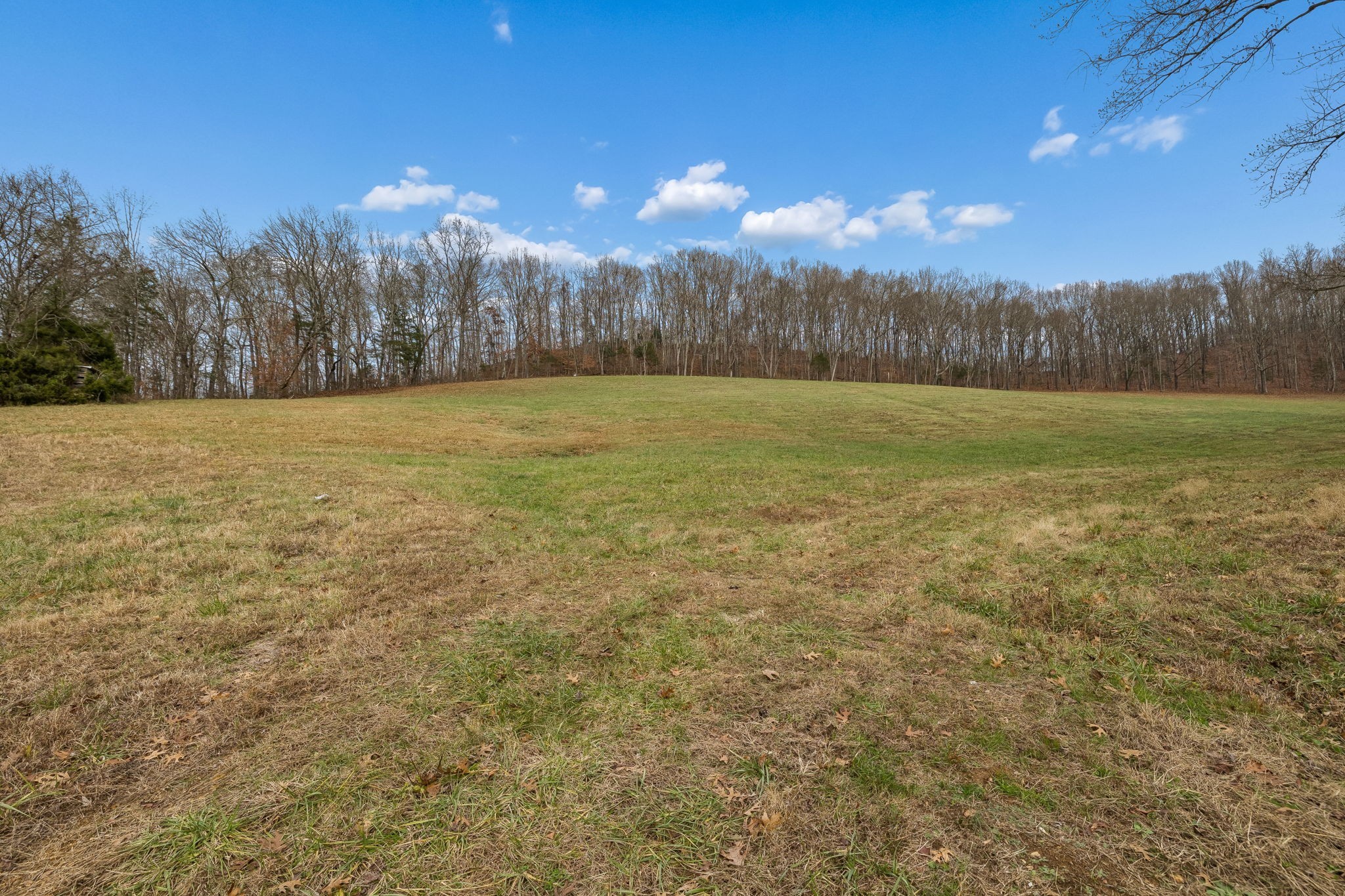 a view of an outdoor space and a yard