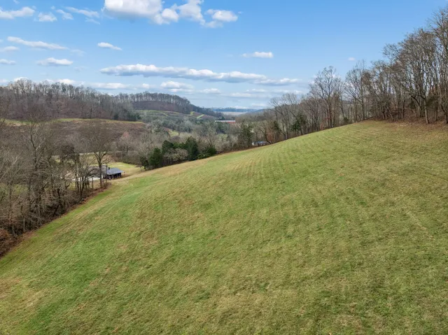 a view of an outdoor space and a yard