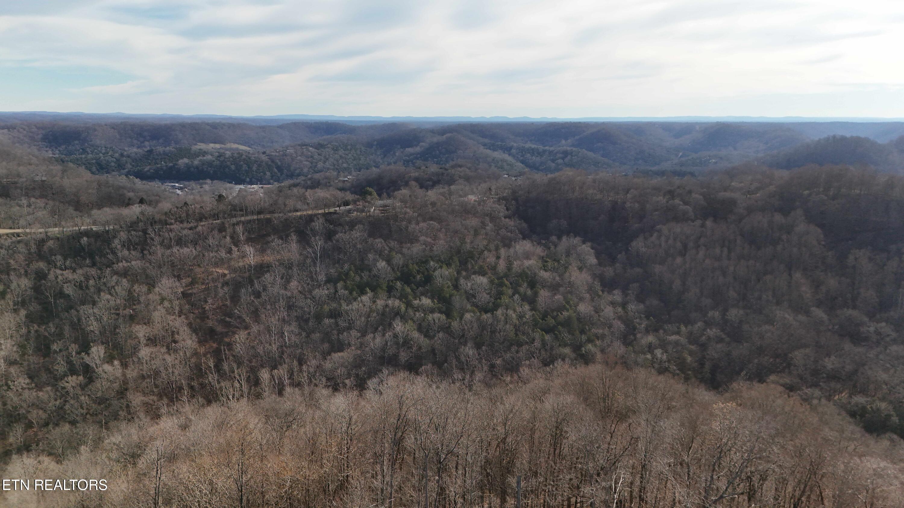276 Schelley Road Gainesboro, TN 38562 - Photo 52 of 55 276 Schellley Road Gainsboro -- Drone Vi