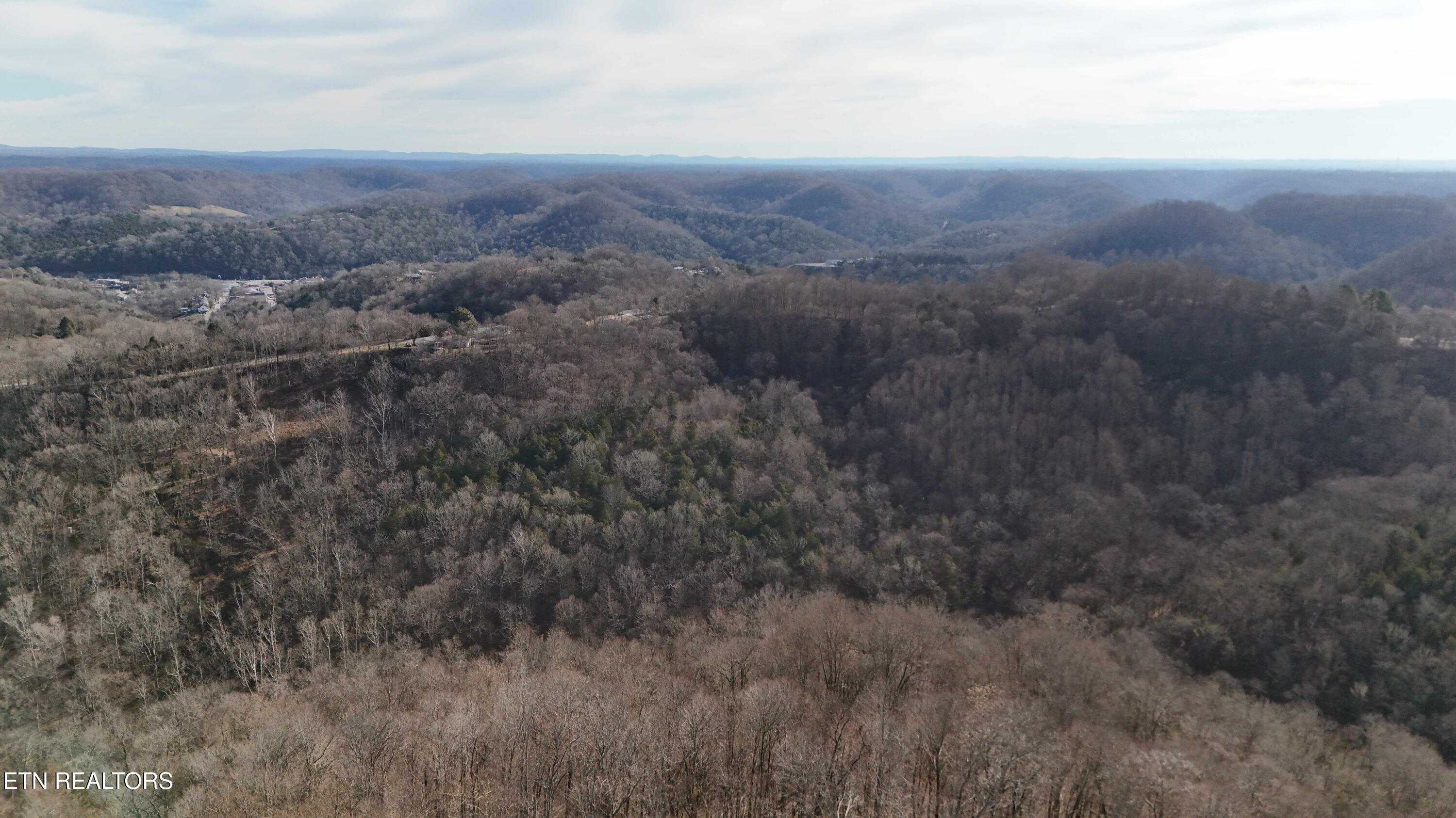 276 Schelley Road Gainesboro, TN 38562 - Photo 53 of 55 276 Schellley Road Gainsboro -- Drone Vi