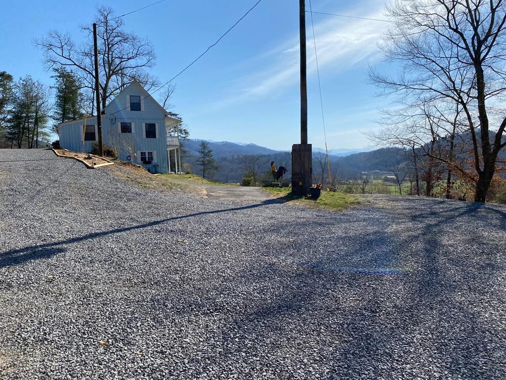 1174 Sharp Road Sevierville, TN 37876 - Photo 26 of 30 a large tree in the middle of a yard