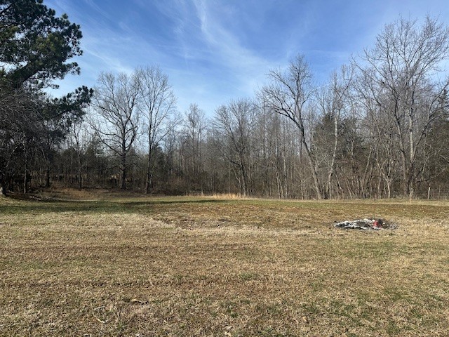 1158 Salmon Branch Road Erin, TN 37061 - Photo 5 of 21 Gallery Image 5