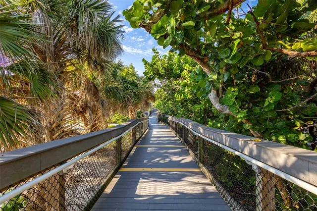 a view of a backyard with plants