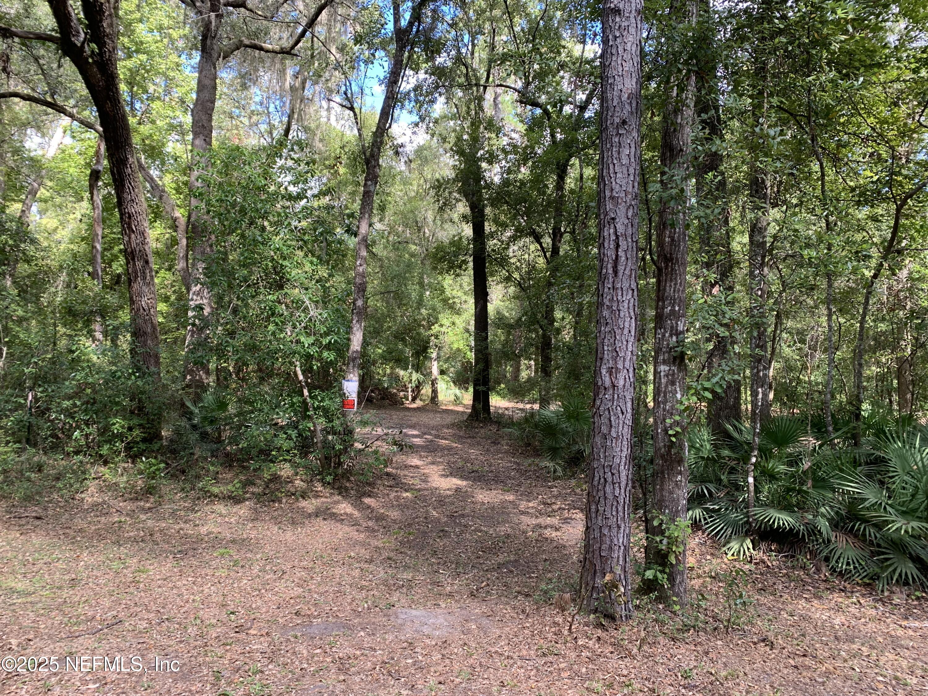 118 Corbina Way Florahome, FL 32140 - Photo 1 of 14 a view of a forest with trees in the background