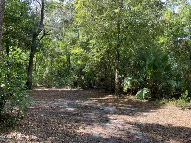 a view of a dirt road with trees in the background