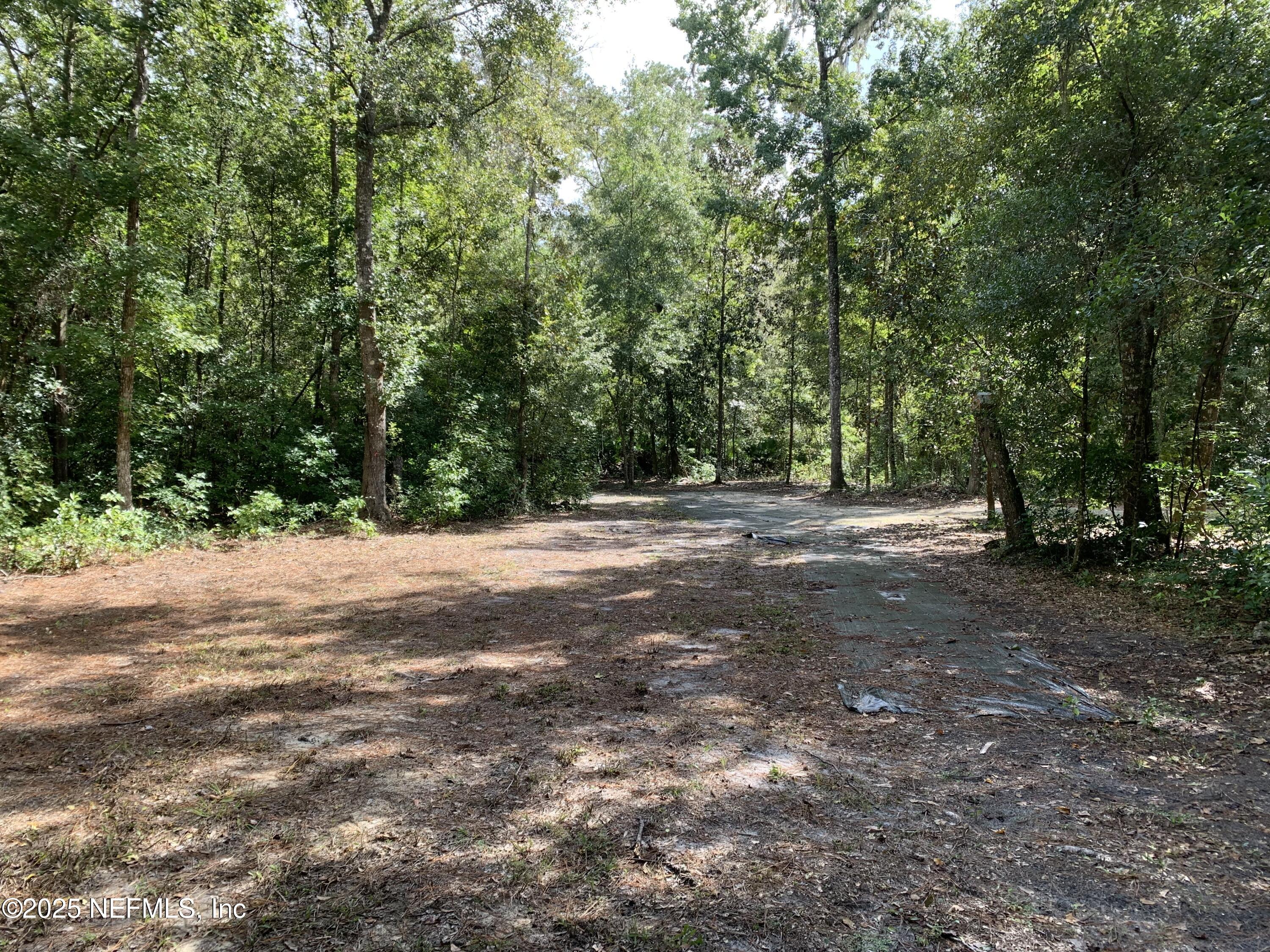 118 Corbina Way Florahome, FL 32140 - Photo 12 of 23 a view of outdoor space with trees