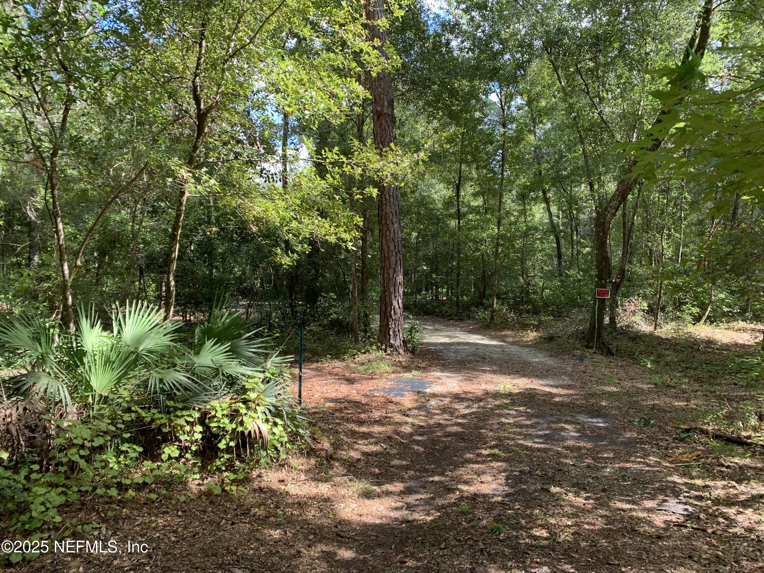 118 Corbina Way Florahome, FL 32140 - Photo 12 of 14 a backyard of a house with lots of green space