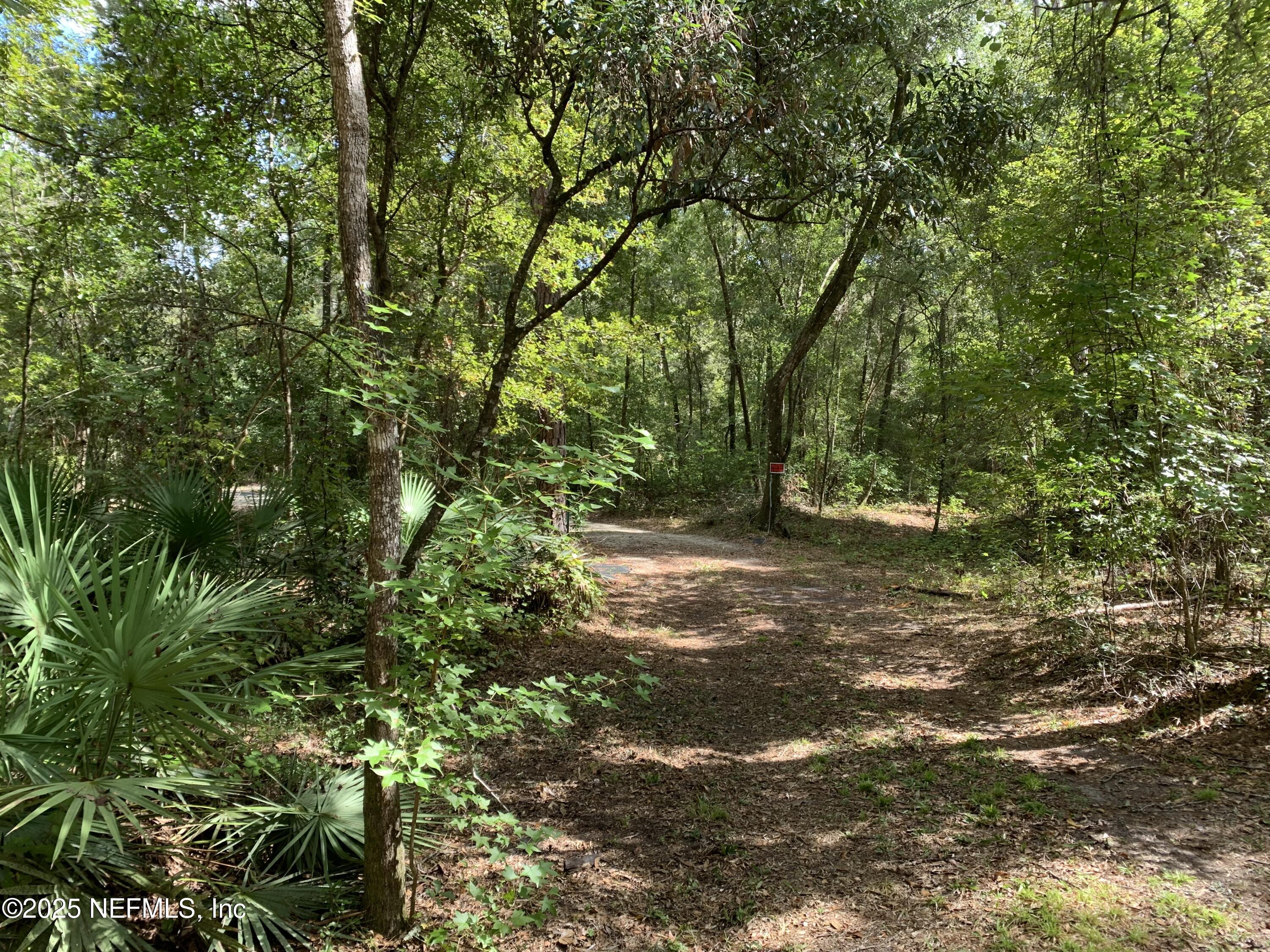 118 Corbina Way Florahome, FL 32140 - Photo 13 of 14 a view of a forest with trees