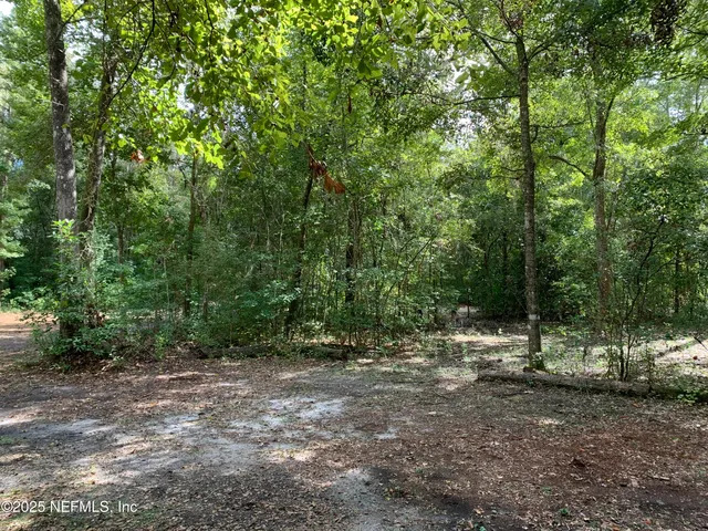 a view of outdoor space and yard