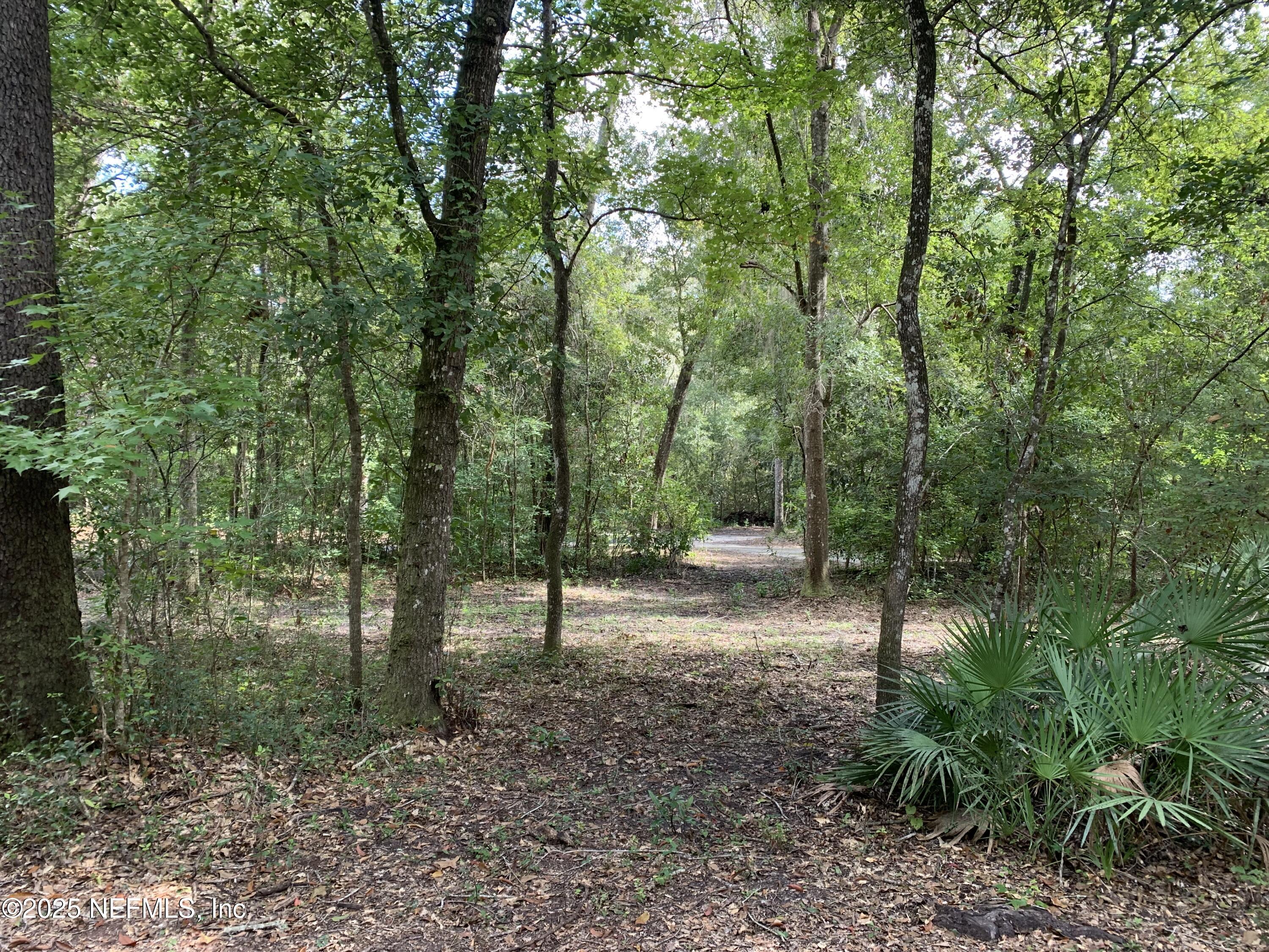 118 Corbina Way Florahome, FL 32140 - Photo 17 of 23 a backyard of a house with lots of green space