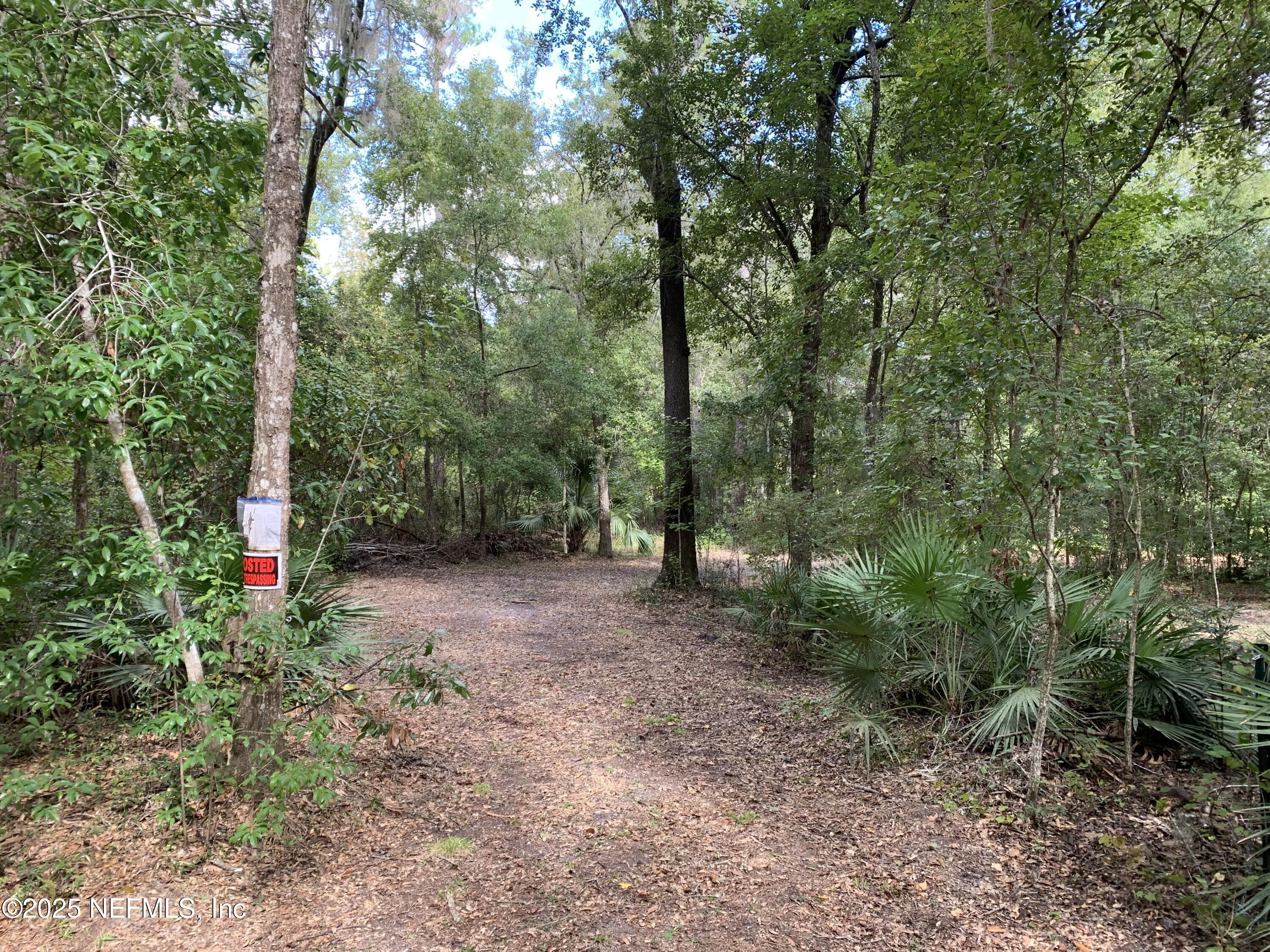 118 Corbina Way Florahome, FL 32140 - Photo 20 of 23 a view of a forest with trees in the background