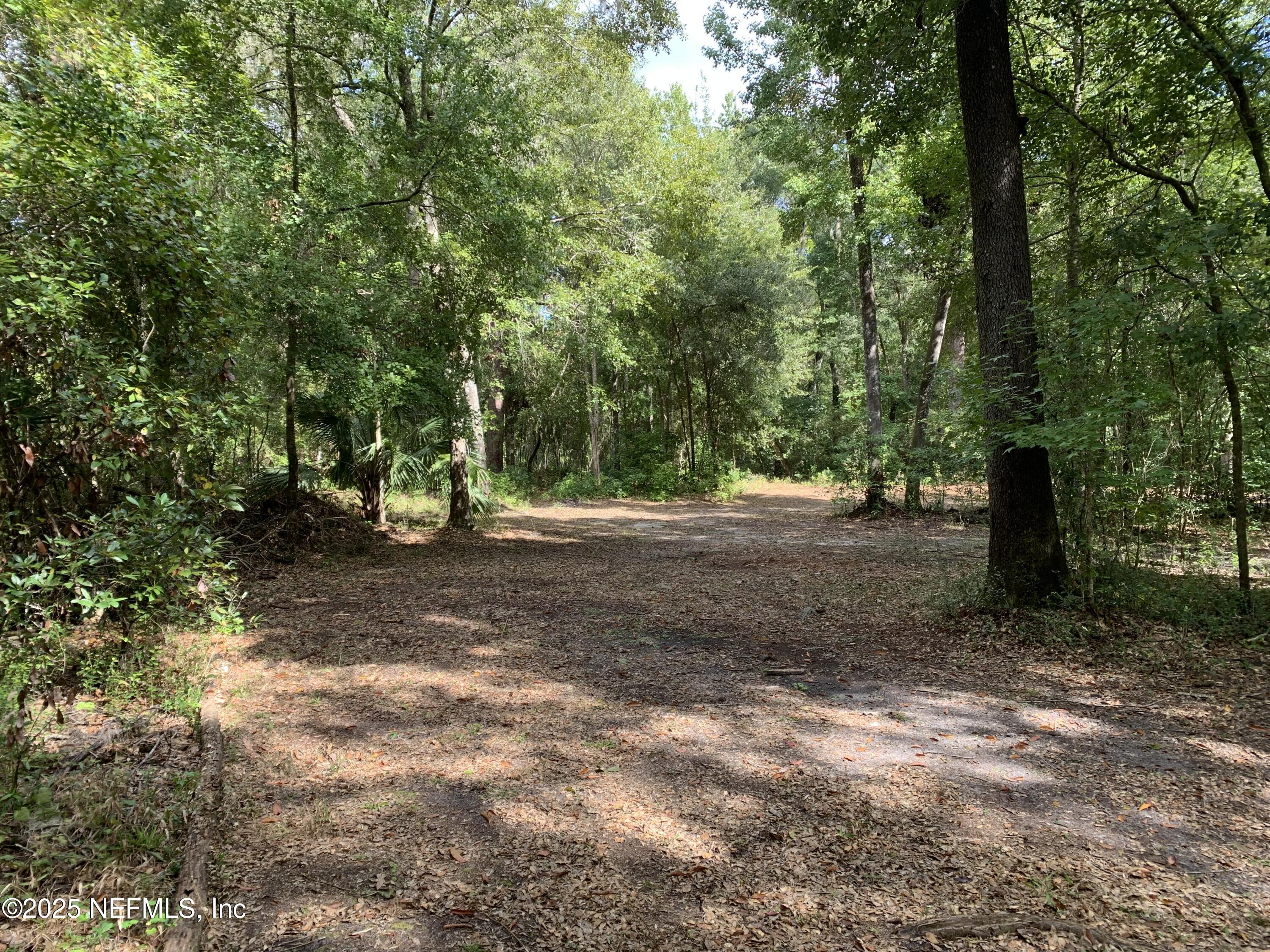 118 Corbina Way Florahome, FL 32140 - Photo 3 of 14 a view of outdoor space with trees