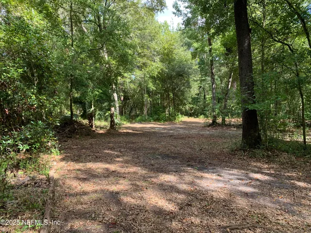 a view of outdoor space with trees