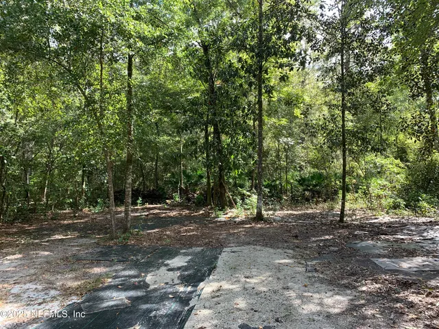 a view of outdoor space with trees all around