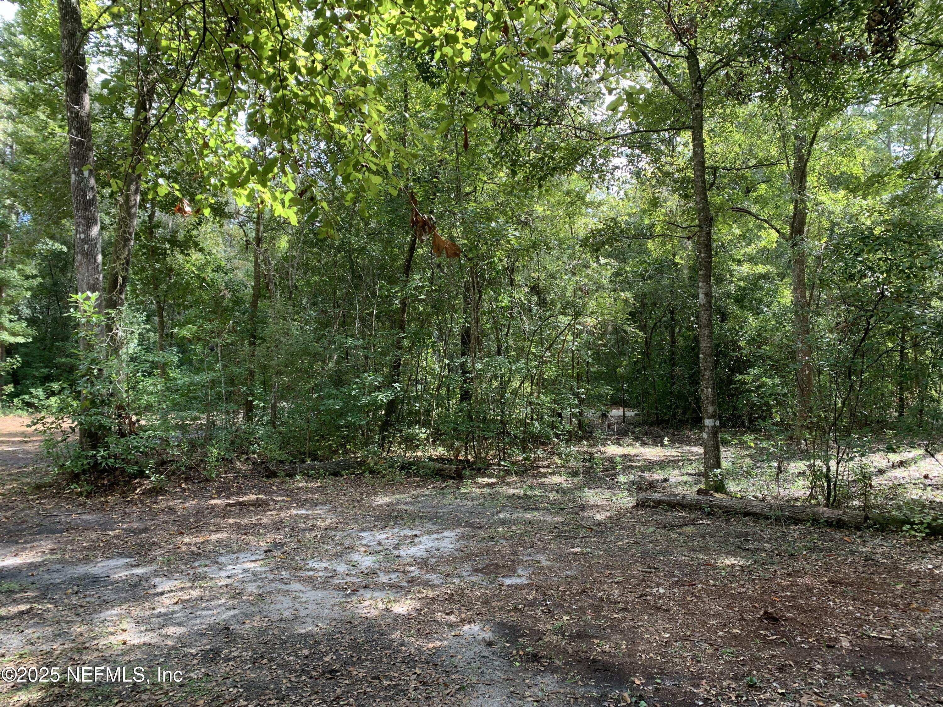 118 Corbina Way Florahome, FL 32140 - Photo 8 of 14 a view of outdoor space and yard