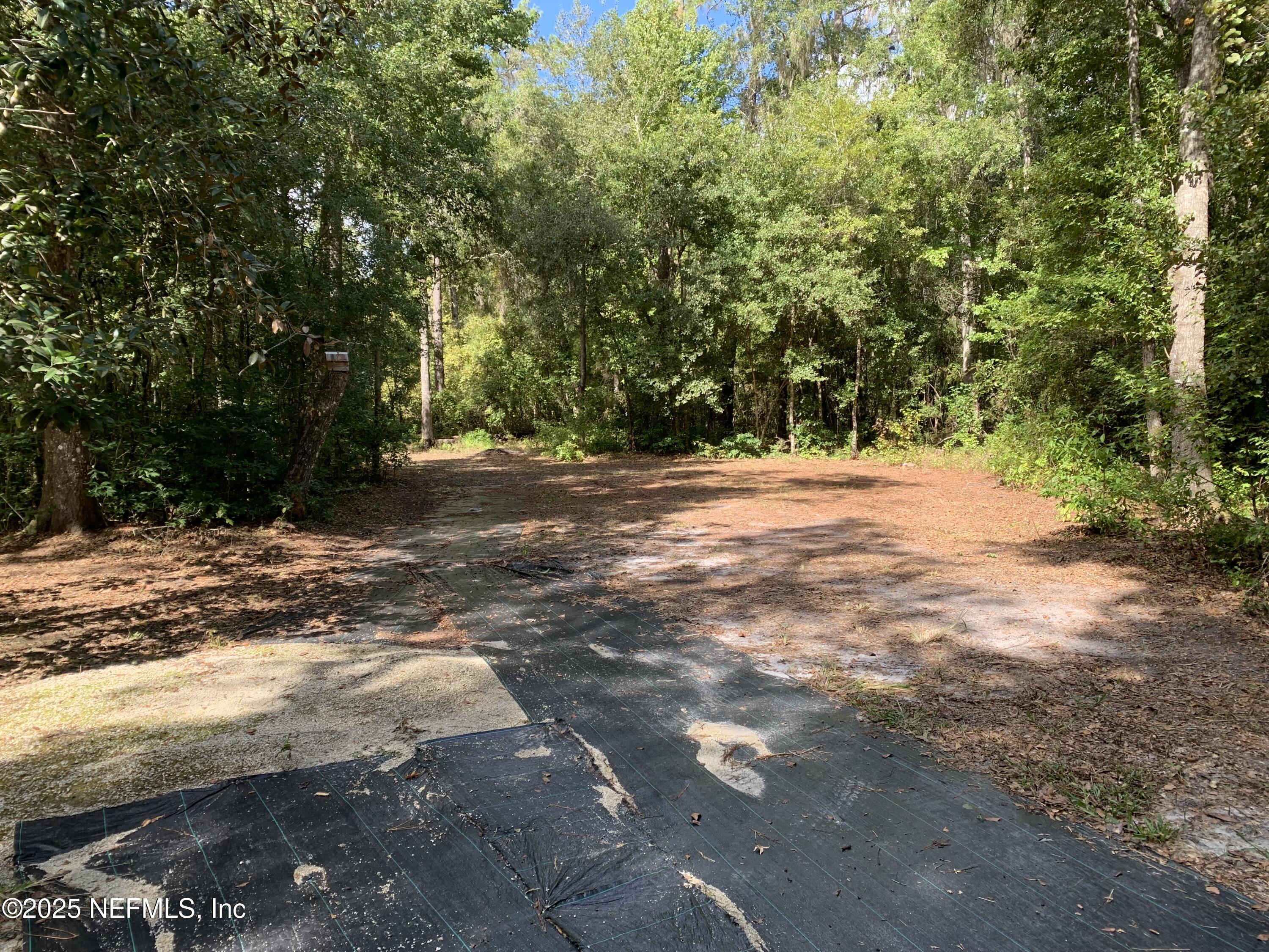 118 Corbina Way Florahome, FL 32140 - Photo 9 of 23 a view of a yard with a tree