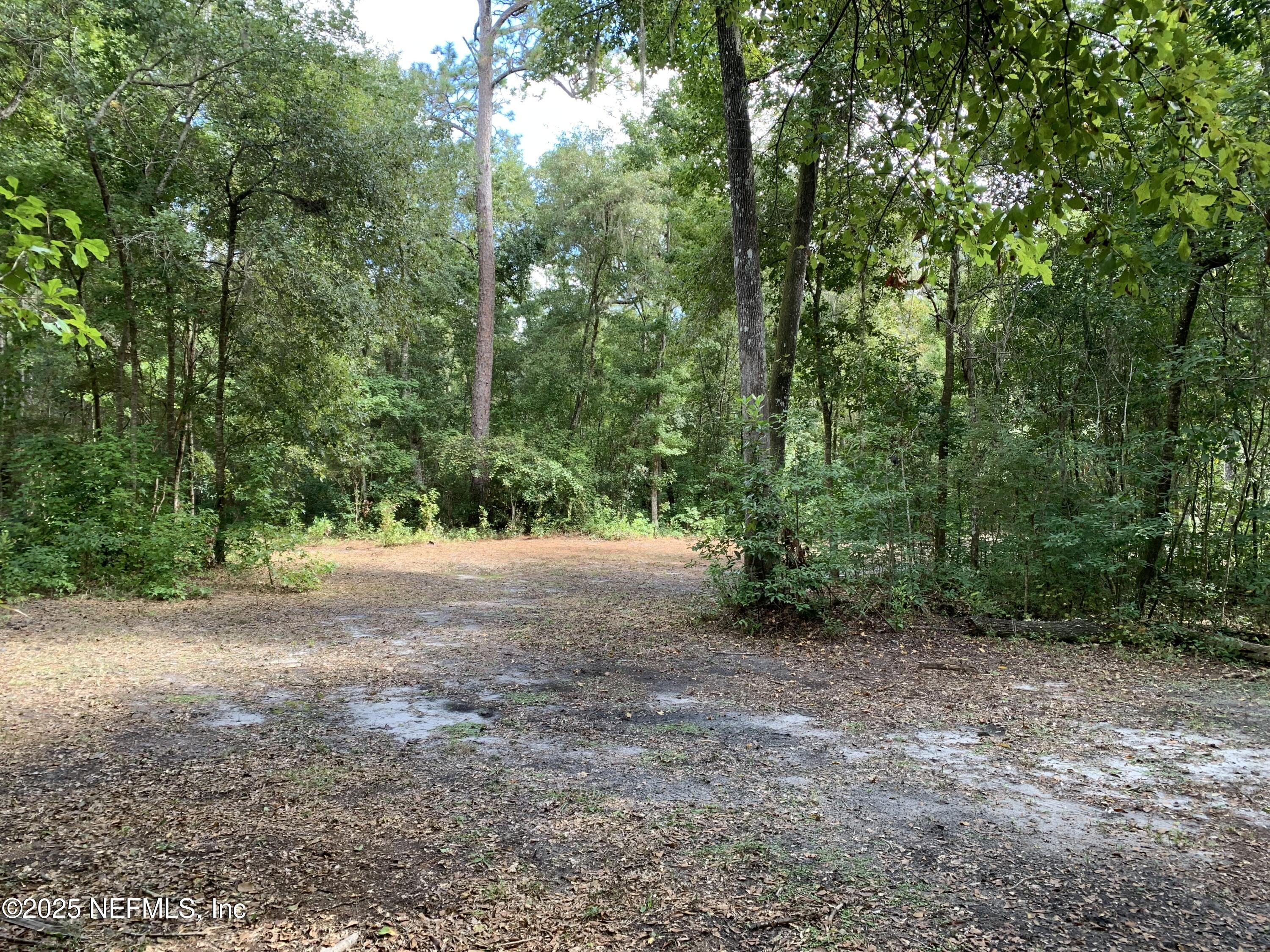 118 Corbina Way Florahome, FL 32140 - Photo 9 of 14 a view of a forest with trees in the background