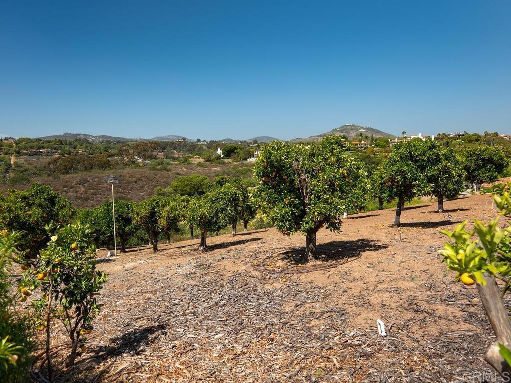 18246 Via Ascenso Rancho Santa Fe, CA 92091 - Photo 52 of 59