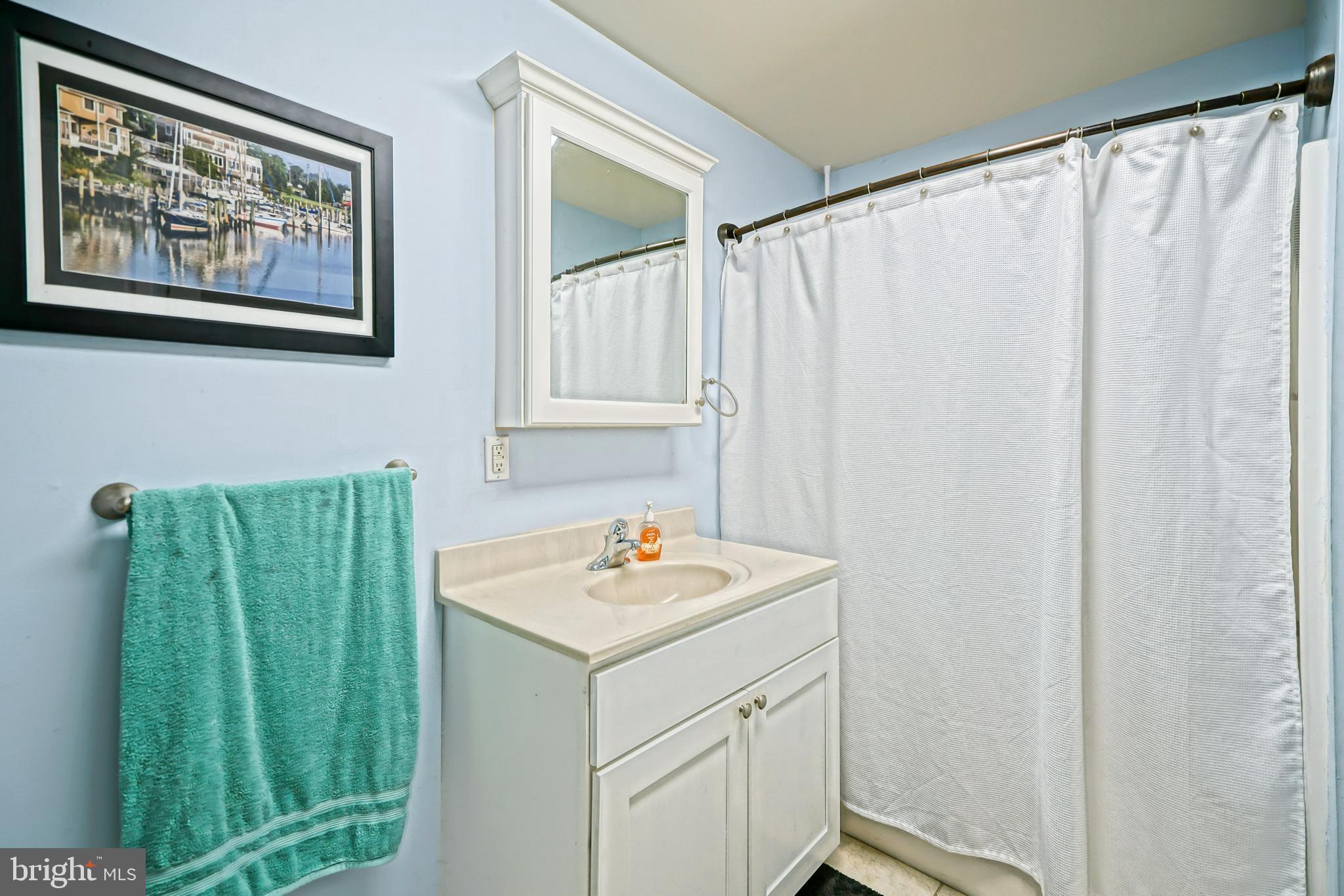 18897 Sand Hill Road Milton, DE 19968 - Photo 23 of 51 a bathroom with a sink and a mirror