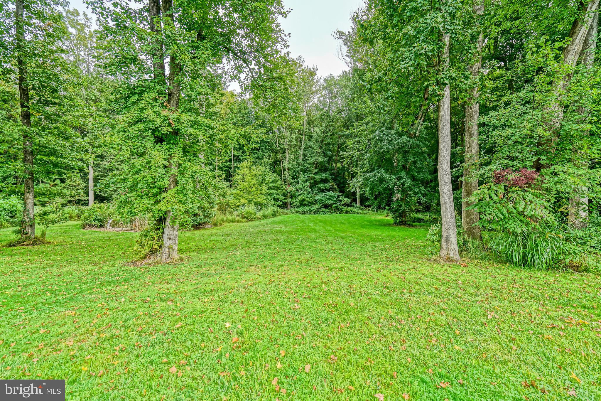 18897 Sand Hill Road Milton, DE 19968 - Photo 39 of 51 a view of a field with a tree