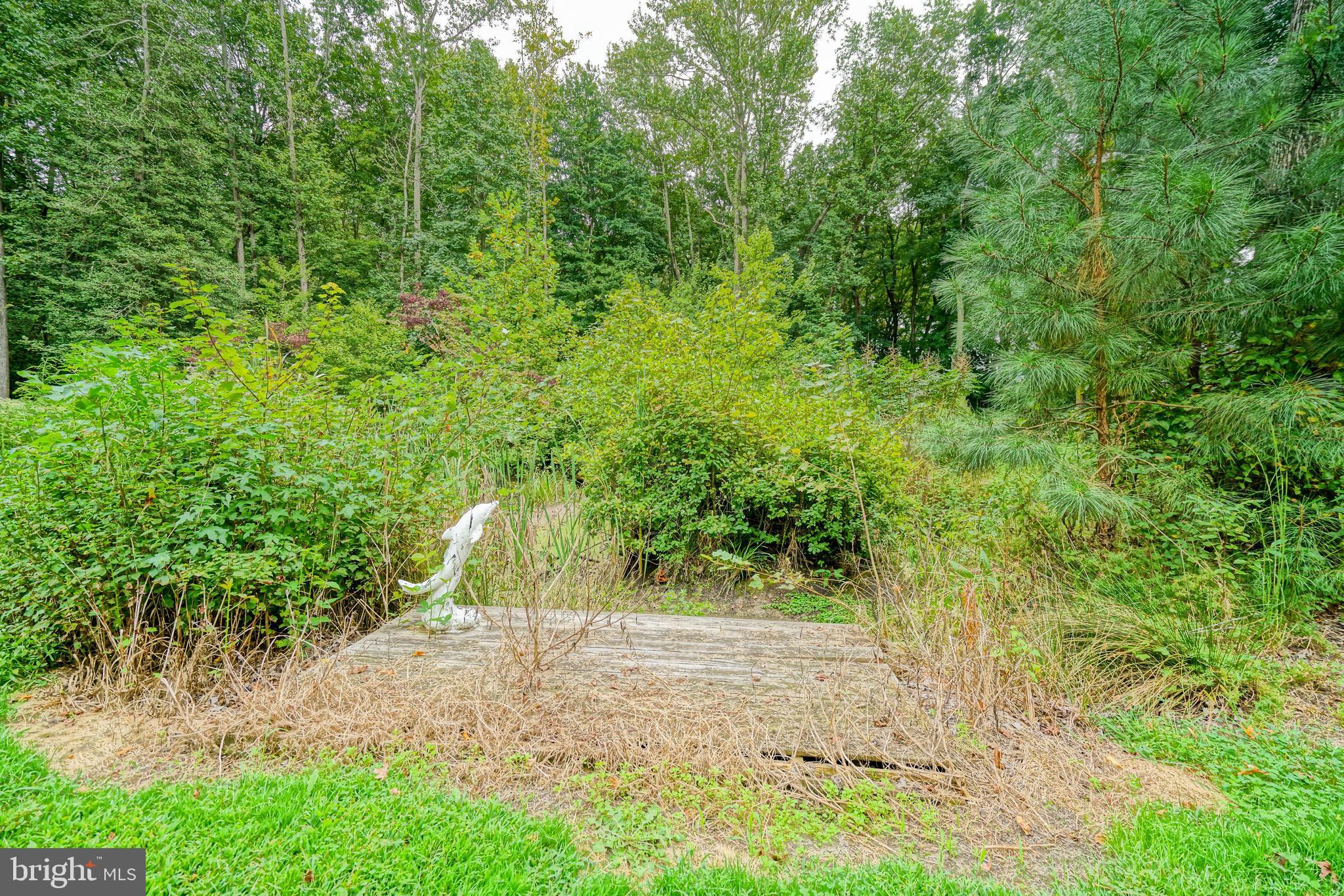 18897 Sand Hill Road Milton, DE 19968 - Photo 40 of 51 a view of a yard with plants and trees