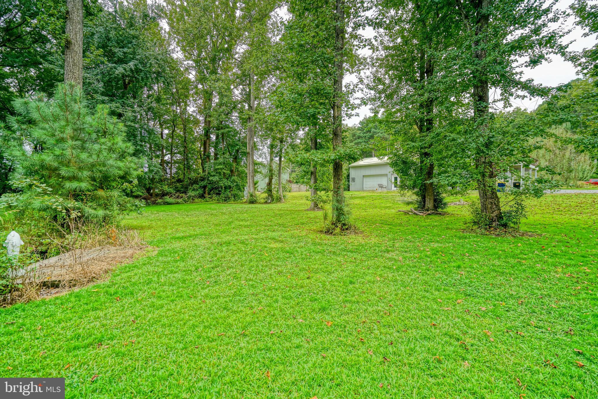 18897 Sand Hill Road Milton, DE 19968 - Photo 41 of 51 a view of a backyard with green space