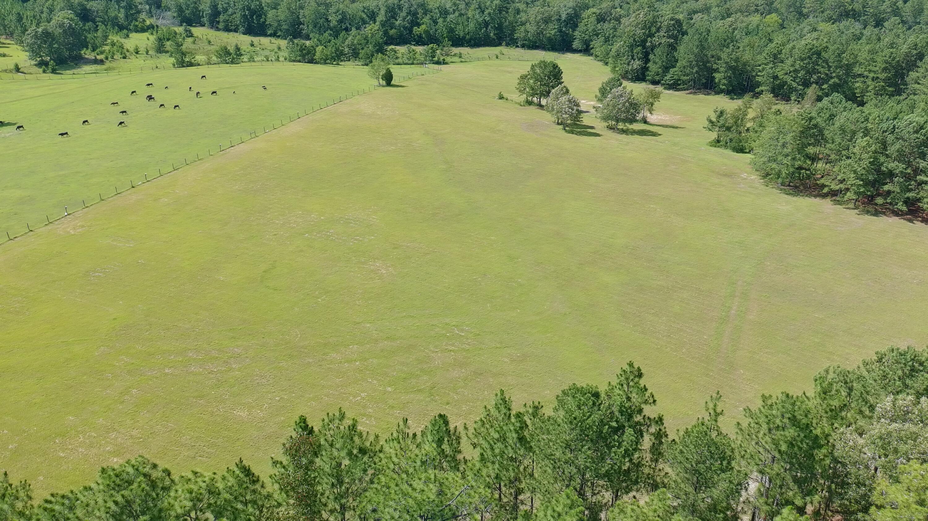 41-acres Whiskey Road Aiken, SC 29803 - Photo 24 of 44