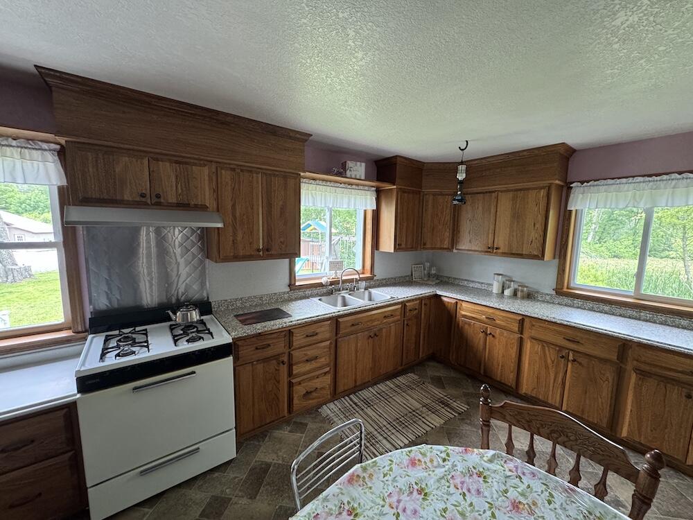 1692 North Galbraith Road Mio, MI 48647 - Photo 44 of 82 IMG_3846