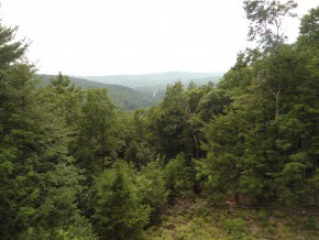 44 Paradise Hill Road Rockingham, VT 05101 - Photo 14 of 24