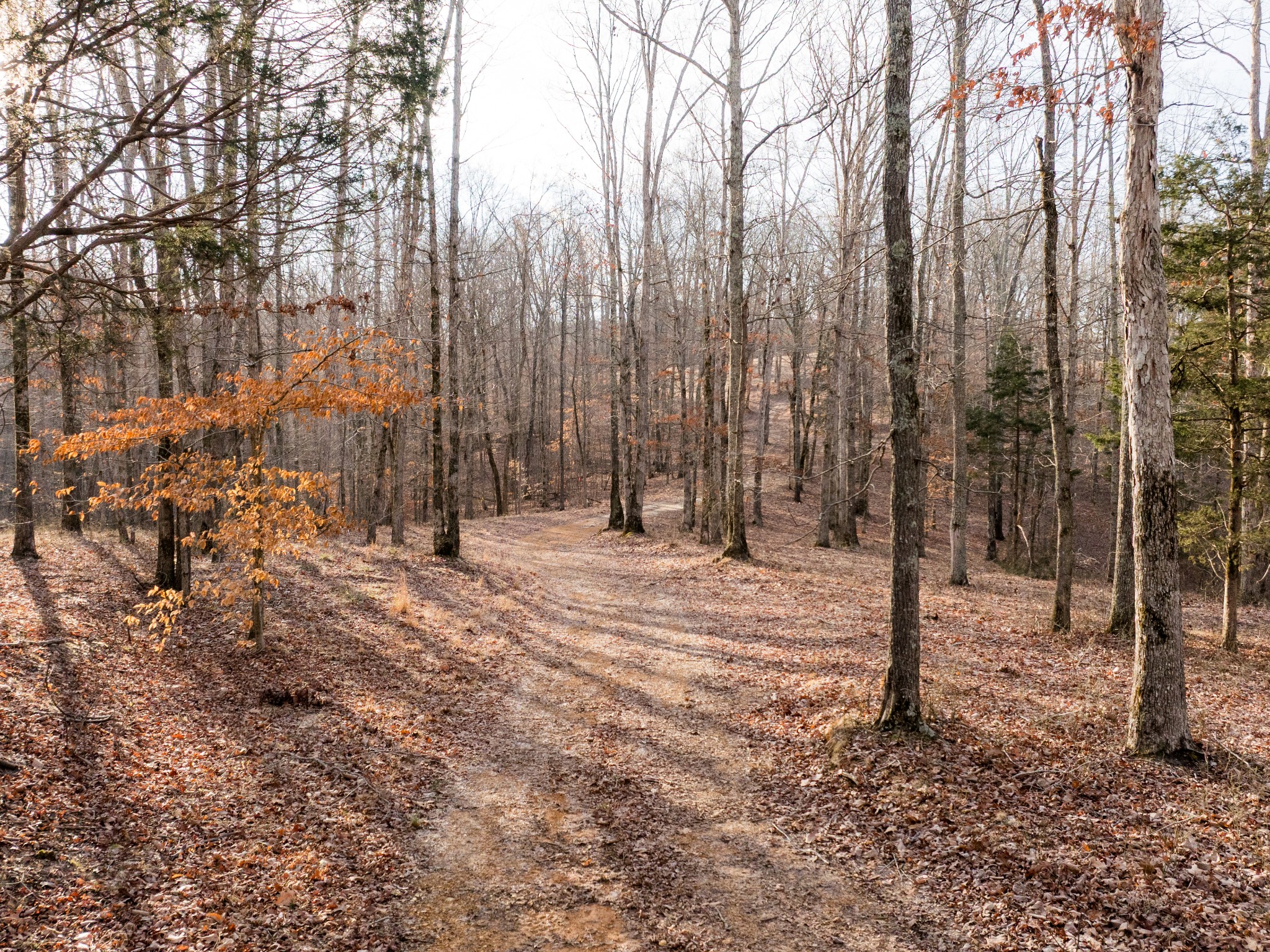 6 Pinewood Road Nunnelly, TN 37137 - Photo 2 of 10 a view of a backyard of the house