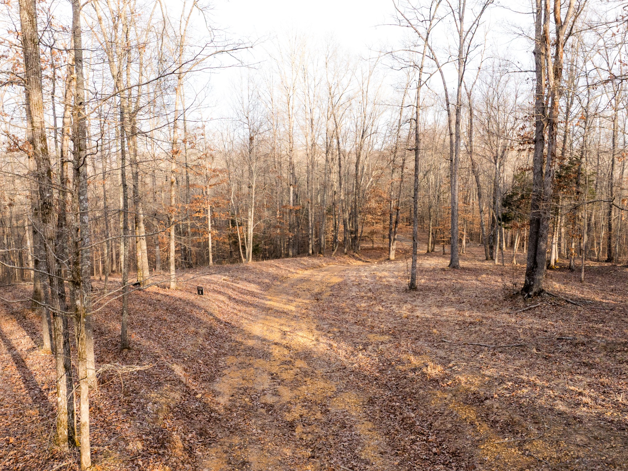 6 Pinewood Road Nunnelly, TN 37137 - Photo 5 of 10 a view of outdoor space with lots of trees