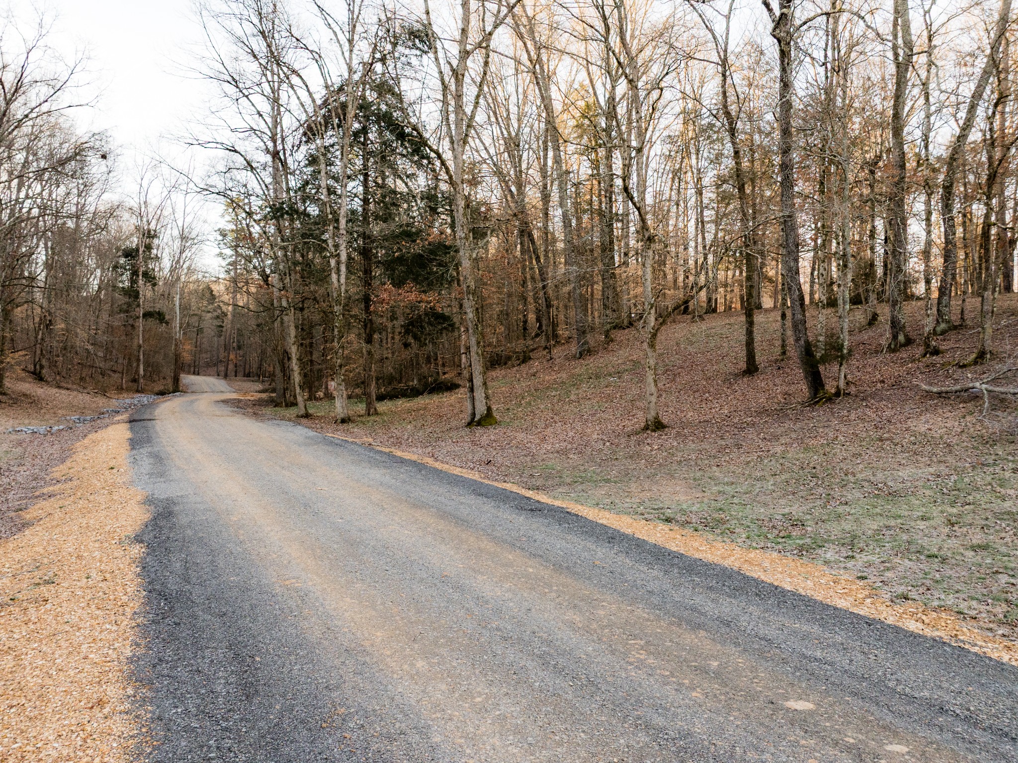 6 Pinewood Road Nunnelly, TN 37137 - Photo 8 of 10 a backyard of a house with trees and houses