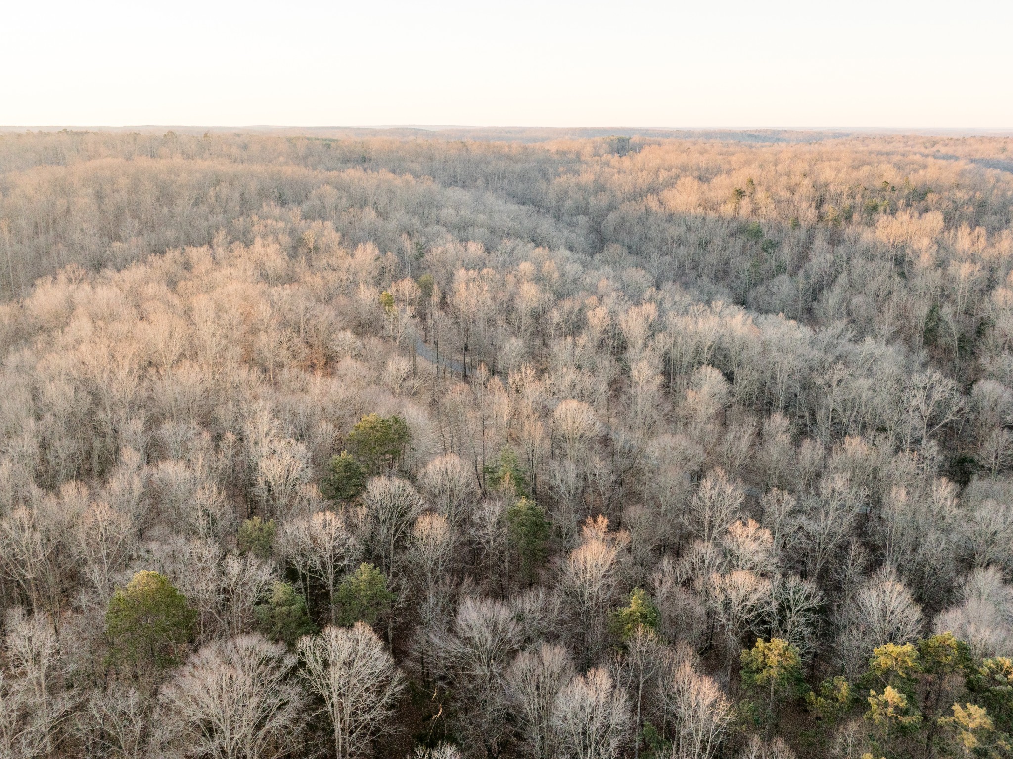 6 Pinewood Road Nunnelly, TN 37137 - Photo 10 of 10 an aerial view of houses covered in trees