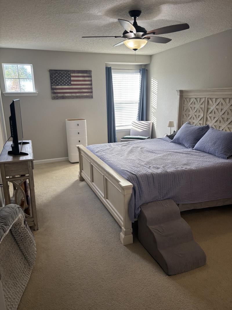 109 Islander Drive St. Augustine, FL 32080 - Photo 5 of 6 Bedroom with light colored carpet, multiple windows, a ceiling fan, and a textured ceiling