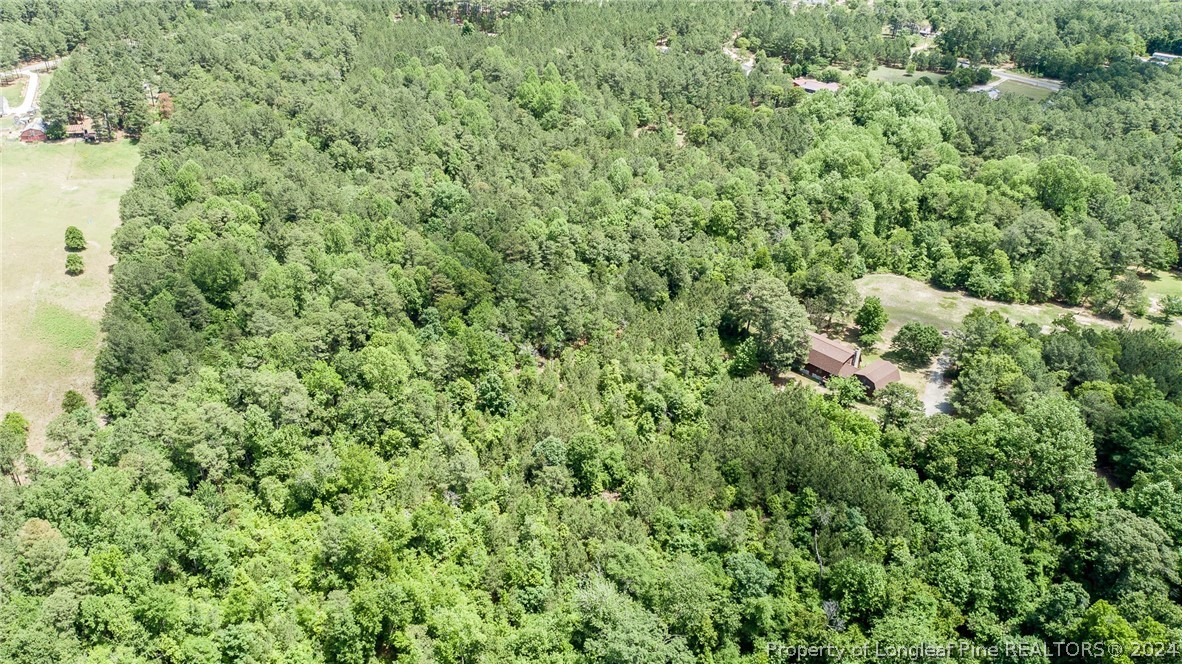 194 Line Road Cameron, NC 28326 - Photo 11 of 16 a view of a lush green forest with a building in the background