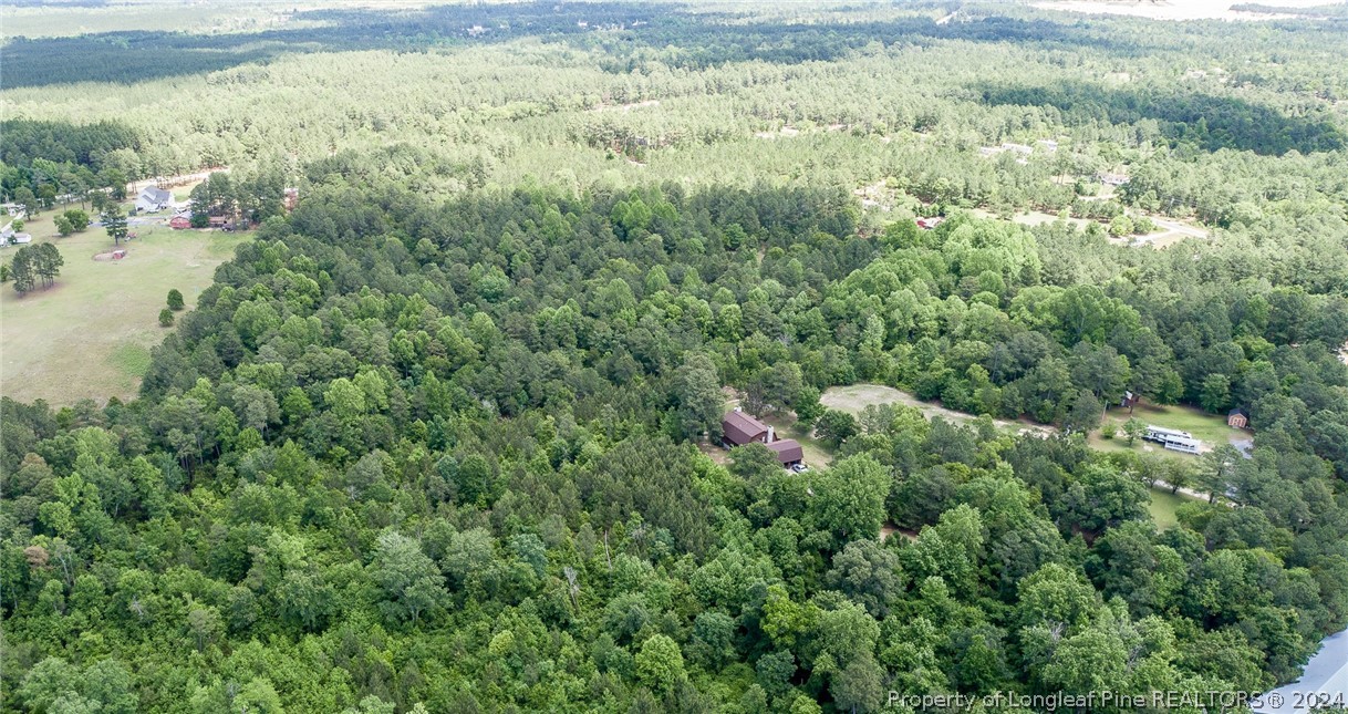 194 Line Road Cameron, NC 28326 - Photo 12 of 16 a view of a forest with a houses