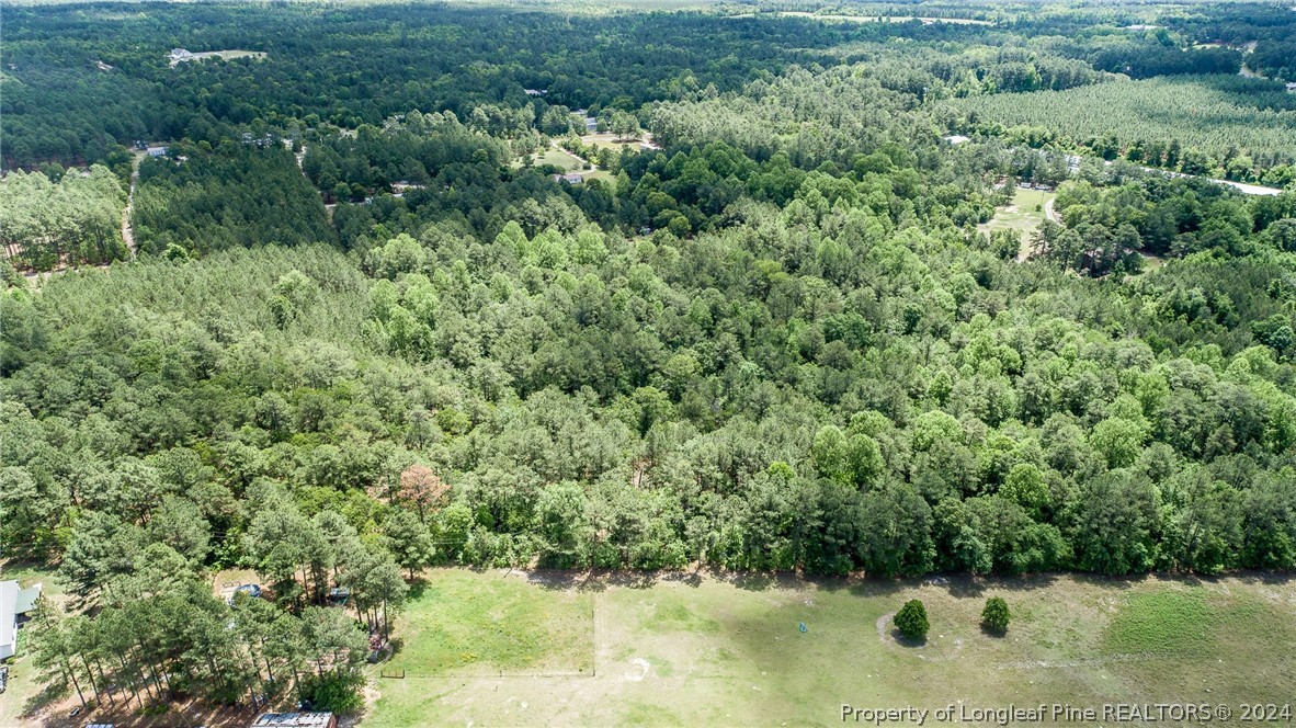 194 Line Road Cameron, NC 28326 - Photo 16 of 16 a view of a forest with a houses