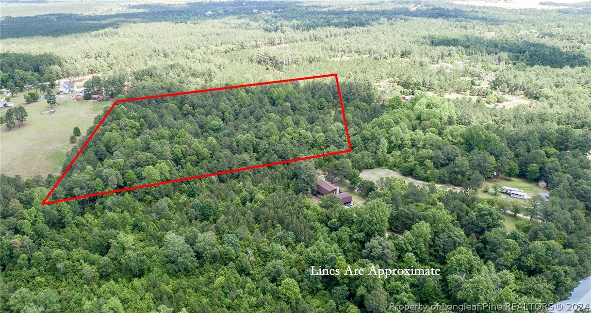 194 Line Road Cameron, NC 28326 - Photo 4 of 16 a view of a lush green field