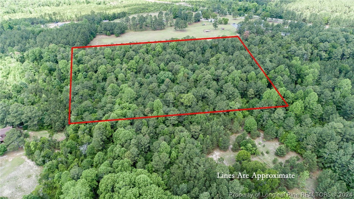 194 Line Road Cameron, NC 28326 - Photo 5 of 16 a view of a back yard with a house and a yard