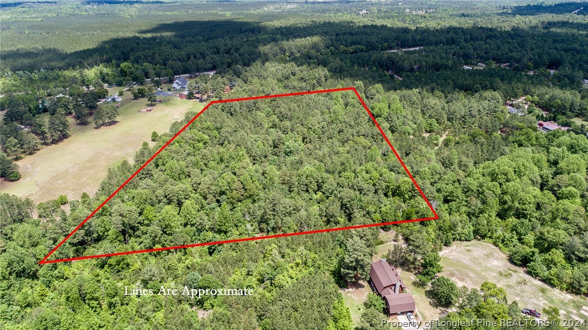 194 Line Road Cameron, NC 28326 - Photo 8 of 16 a view of a garden with a lake