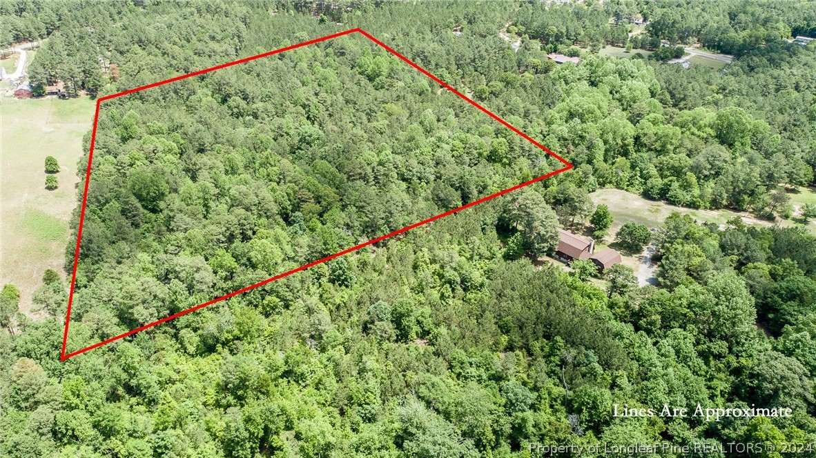 194 Line Road Cameron, NC 28326 - Photo 9 of 16 a picture of a green field with lots of plants