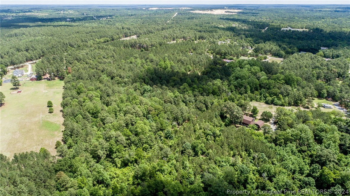 194 Line Road Cameron, NC 28326 - Photo 10 of 16 a view of a forest with a street
