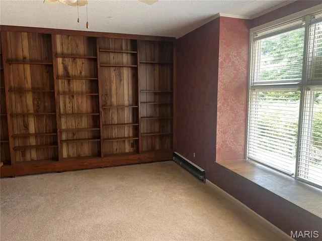 $250,000 | 197 Wayne 340, Piedmont, MO 63957