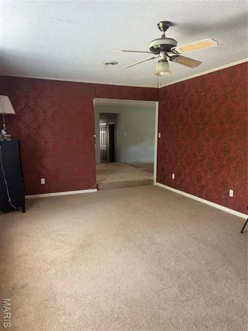 $250,000 | 197 Wayne 340, Piedmont, MO 63957